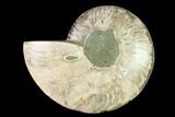 Agatized Ammonite Fossil (Half) - Madagascar #135284-1